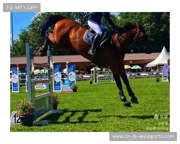 瑞士马术协会与国际组织合作,推广“Schwingfest”至全球。,瑞士mas项目