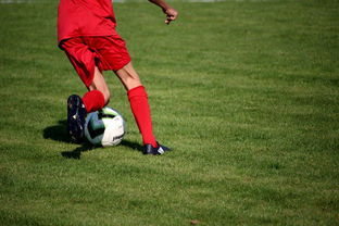 乐鱼体育下载-中国篮球教练员职业发展规划及培训体系,篮球教练员职业生涯规划