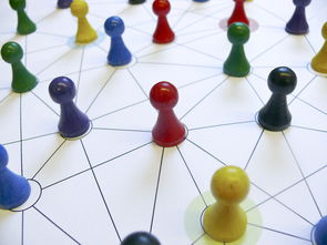 乐鱼官网-中国篮球教练员领导力培养路径，中国篮球协会篮球教练员等级