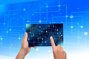 乐鱼官网-中国篮球教练员领导力培养路径,中国篮球协会篮球教练员等级