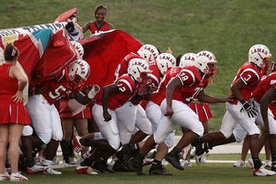 乐鱼体育平台官网-中国篮球教练员领导风格与球队表现关系研究,中国篮球教练员领导风格与球队表现关系研究论文