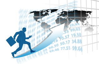 乐鱼体育app入口-中国篮球职业俱乐部财务管理与运营效益分析,篮球俱乐部收入