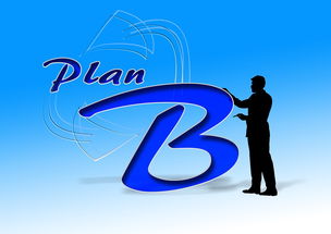 乐鱼体育在线下载-中国篮球职业俱乐部财务风险控制研究，篮球俱乐部企业组织结构图