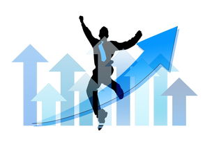 乐鱼体育app官网-中国篮球职业俱乐部财务风险管理实践，篮球俱乐部经营与管理