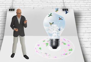 乐鱼app-中国篮球职业俱乐部财务风险管理研究,篮球俱乐部财务制度