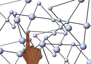 乐鱼官网安全-俱乐部多元化:体育之外的跨界合作路径,体育俱乐部现状分析