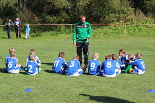 乐鱼体育app官网入口-意甲教练团队基于自然语言语调分类器指导战术表达调整,自然语言语义识别