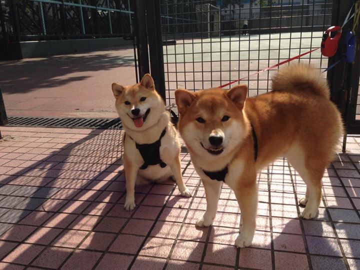 乐鱼体育在线-英超青训引入虚拟现实技术提升球员战术理解力,英超青训球员定义