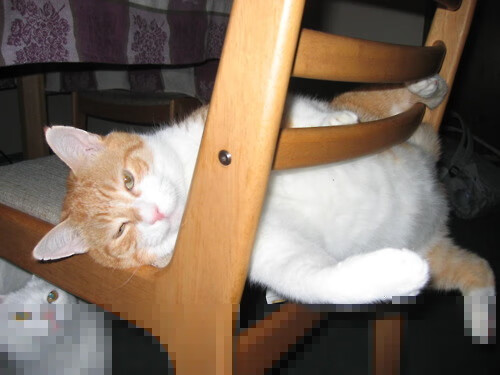 乐鱼app-“简阳文体中心:篮球赛场激烈对决,选手激情四射”