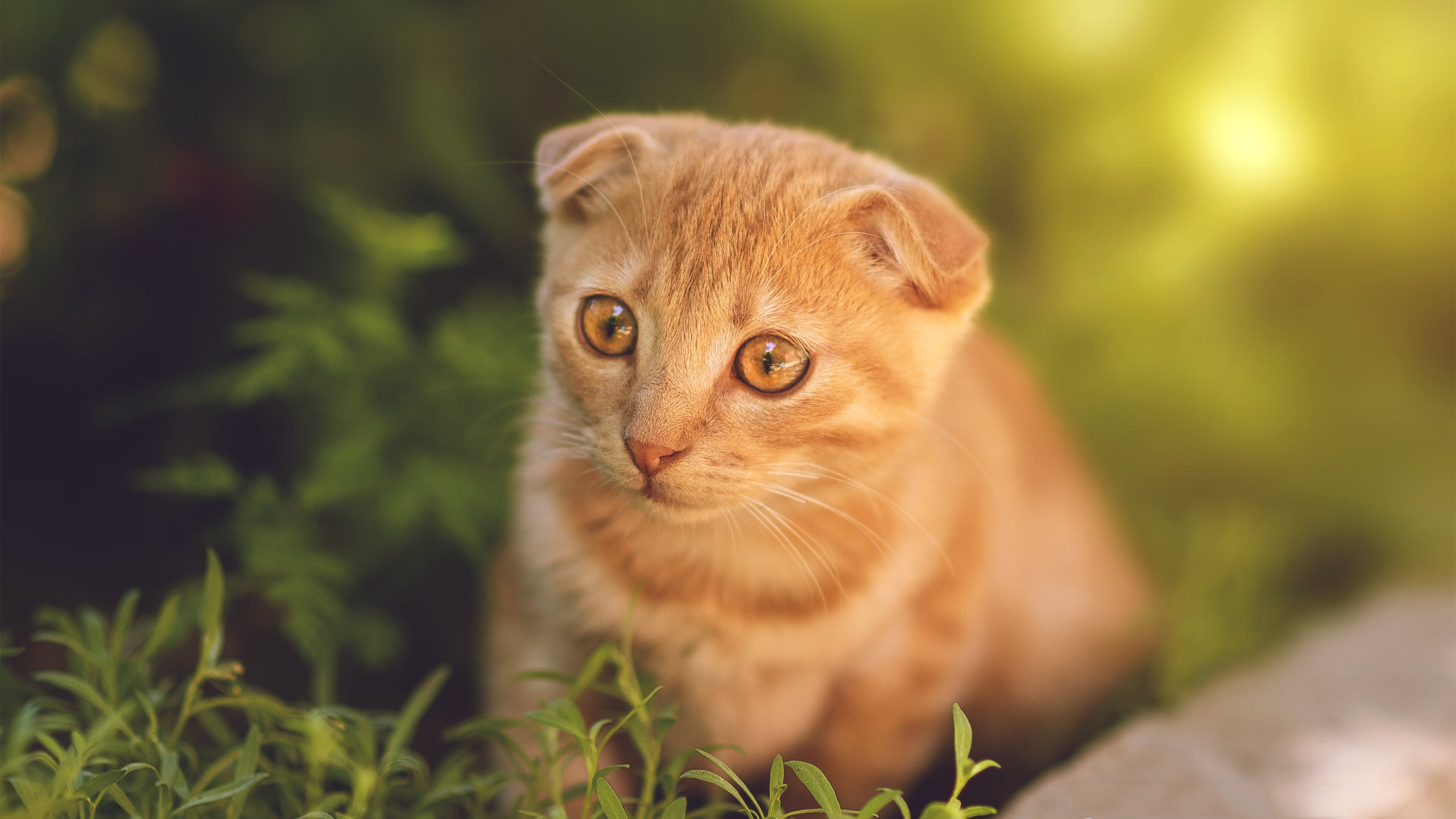 乐鱼体育登录-中国女篮全队保持良好竞技状态,中国女篮虽败犹荣