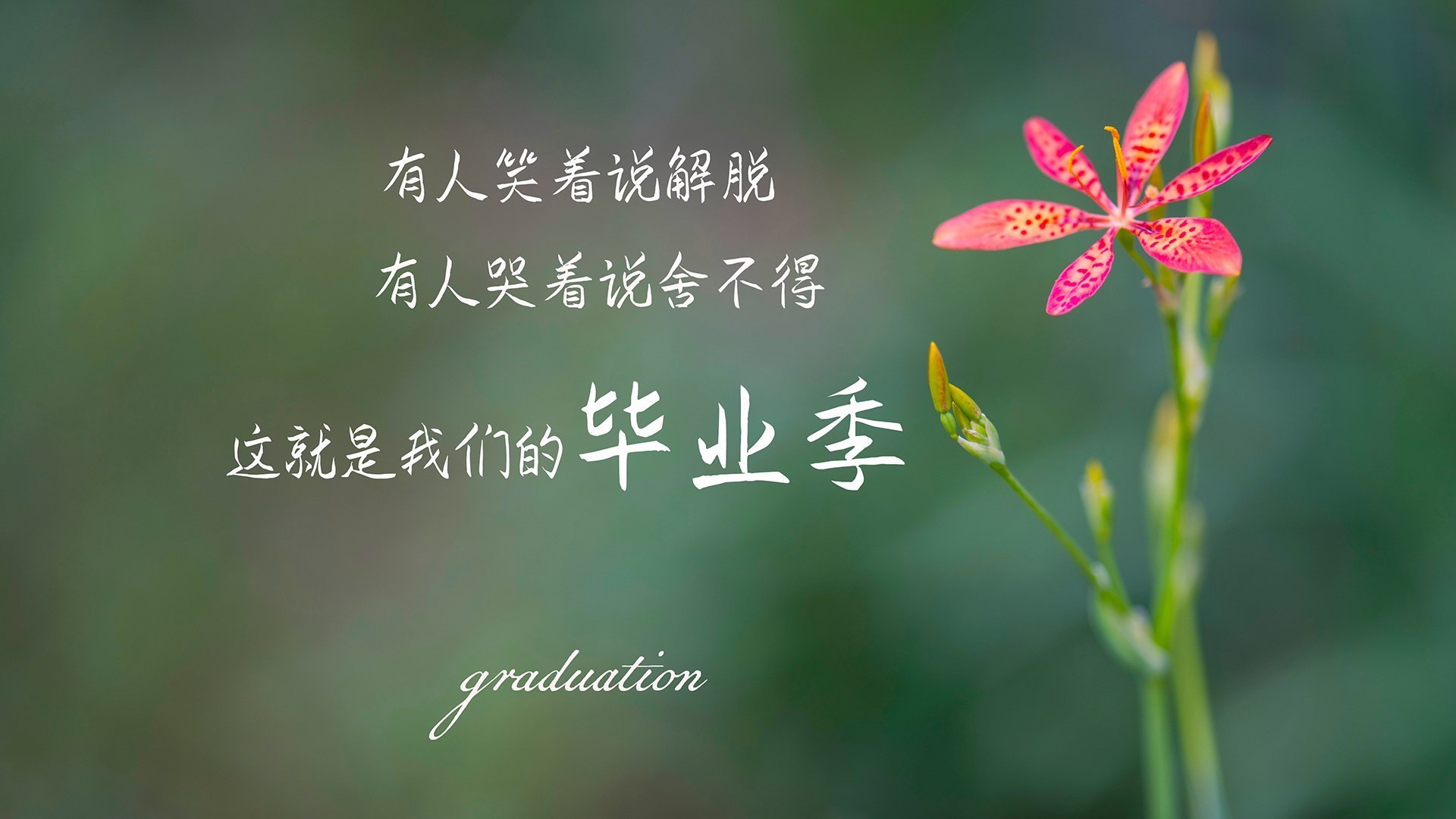 乐鱼体育app入口-中国男篮重视热身赛战术演练价值，中国男篮热火