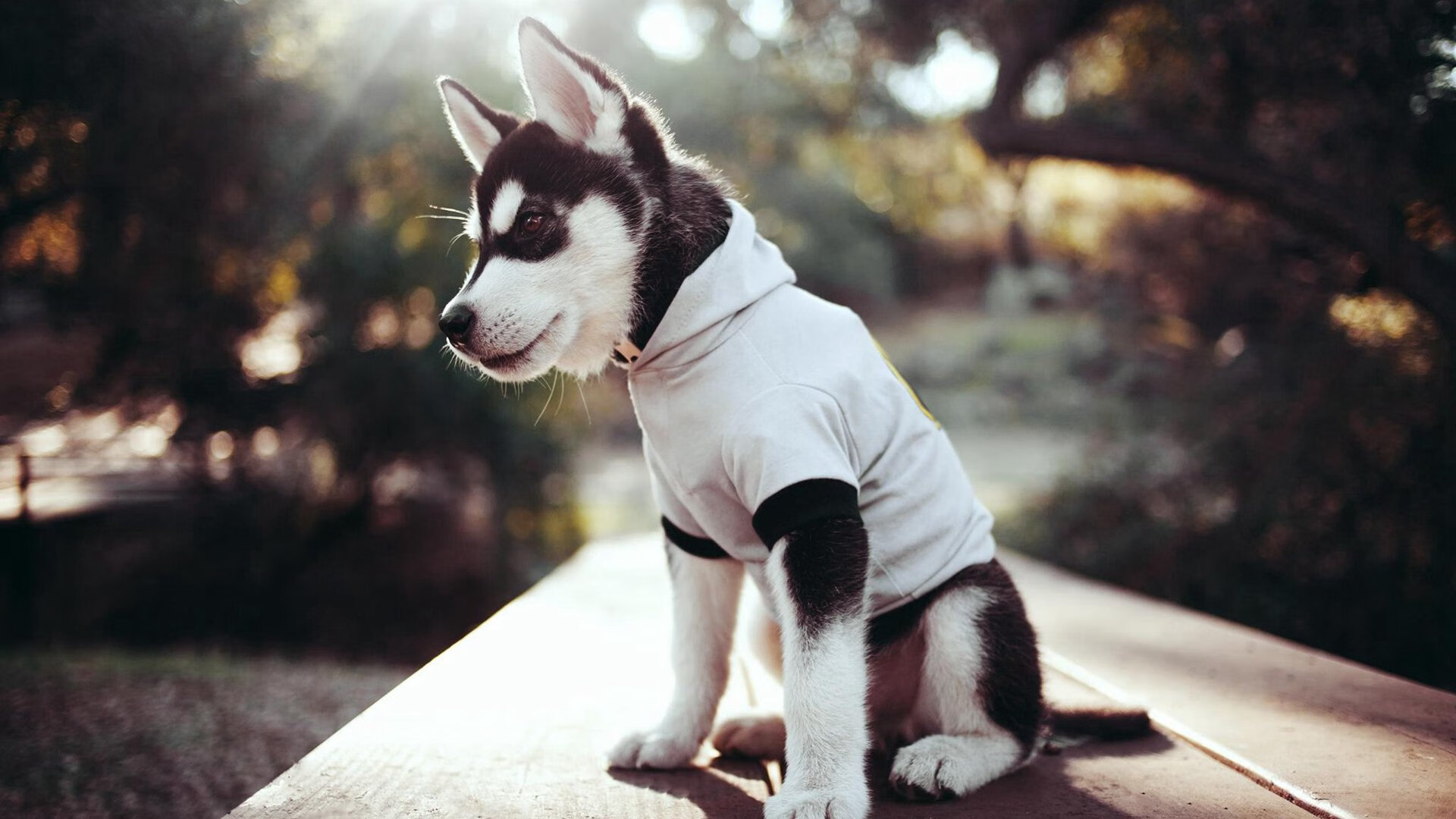 乐鱼体育登陆-五大联赛争冠队伍是否拥有更加稳定的首发阵容,五大联赛冠军怎么产生