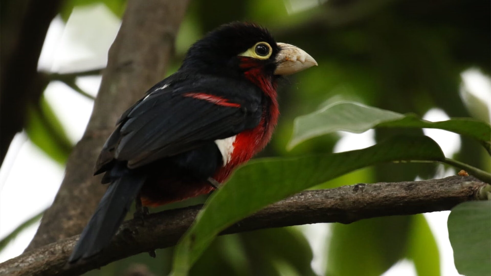 乐鱼体育官网下载-体测调整方案因地制宜保障公平，体测是否合理