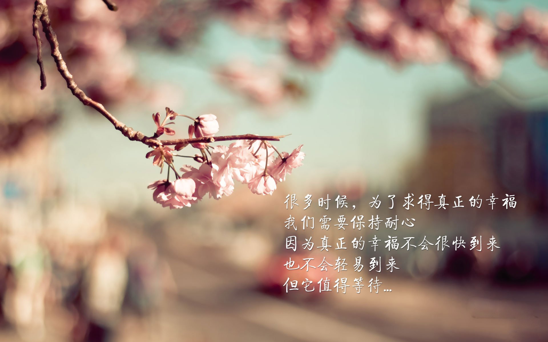 乐鱼体育官网下载-体测调整方案因地制宜保障公平,体测是否合理