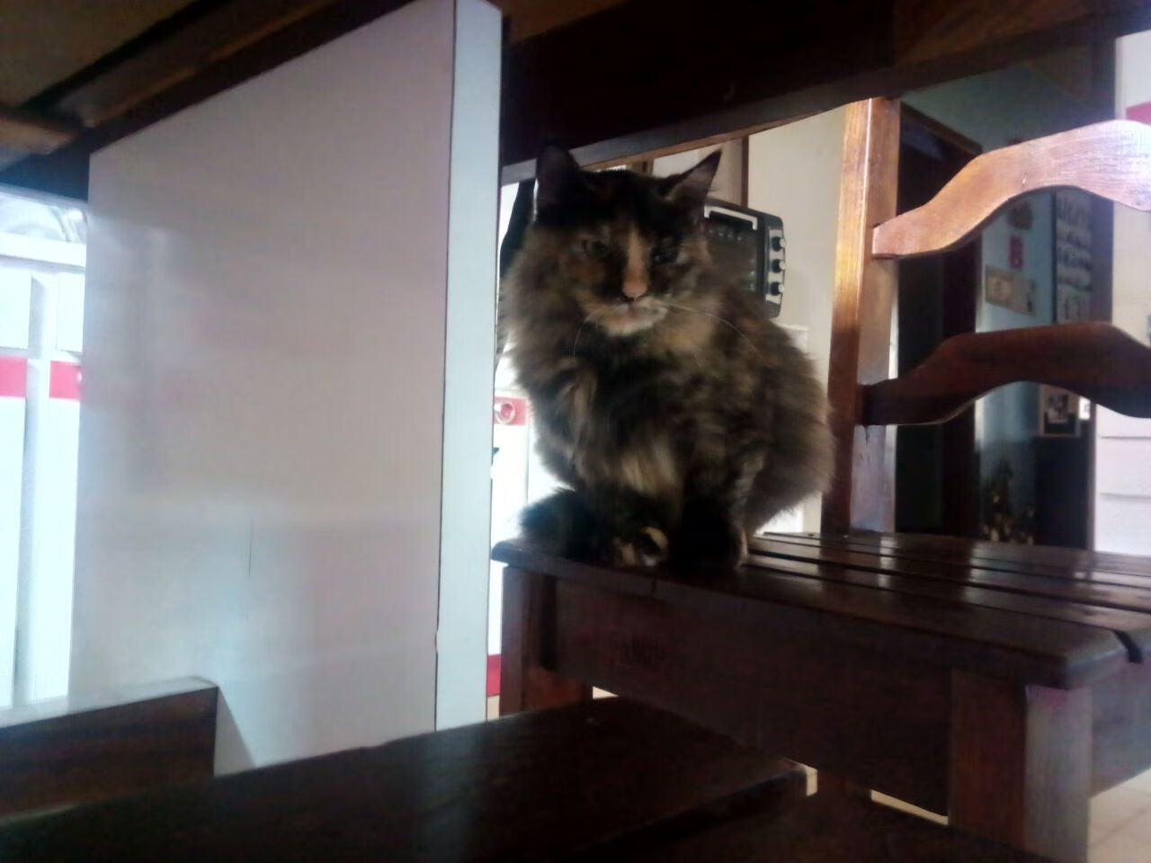 乐鱼体育直播在线-体育新闻中心开展体育短视频内容创作培训,如何创新体育短视频