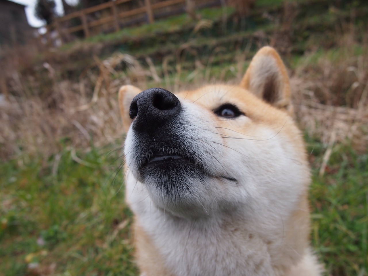 乐鱼体育直播在线-体育新闻中心开展体育短视频内容创作培训,如何创新体育短视频