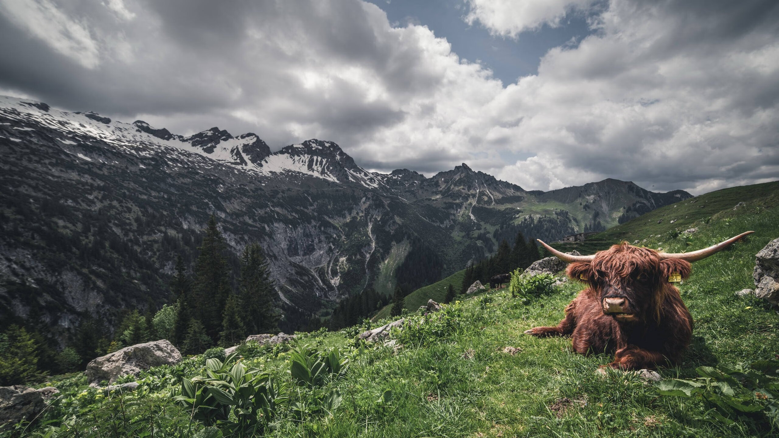 乐鱼体育平台-城市马拉松配速员制度增强群众参与体验，马拉松比赛的配速员做什么工作
