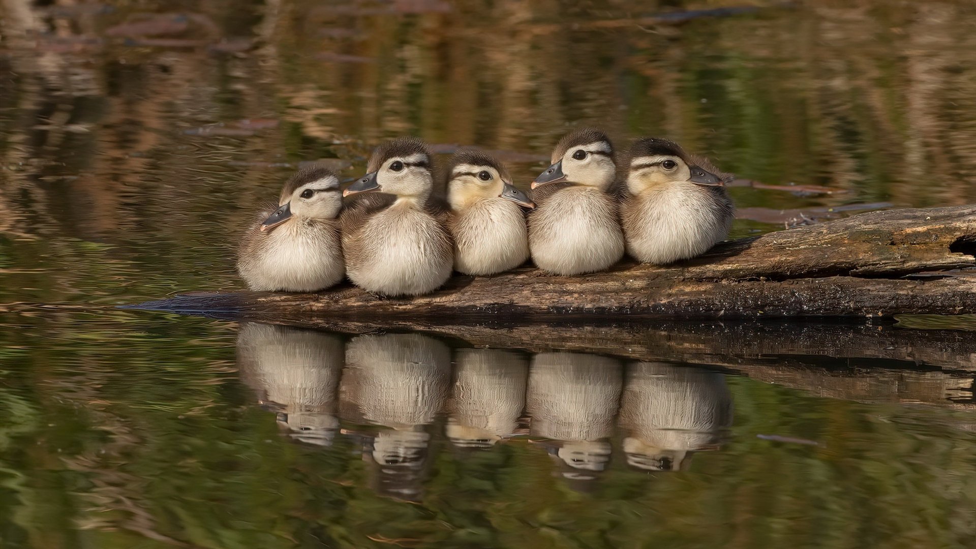 乐鱼体育app官方入口-如何通过高位持球延缓对方防守转换,高位持球突破