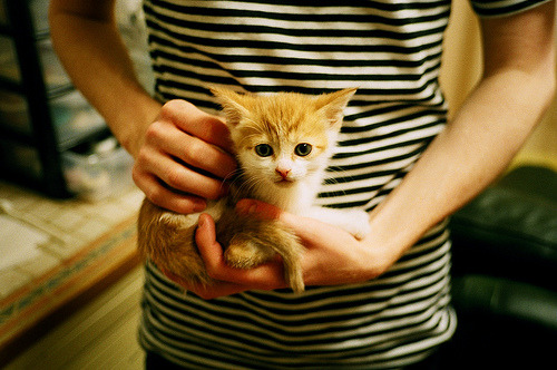 乐鱼app-数据能否揭示五大联赛球队进攻流畅度背后的机制,五大联赛球队进球数排行榜