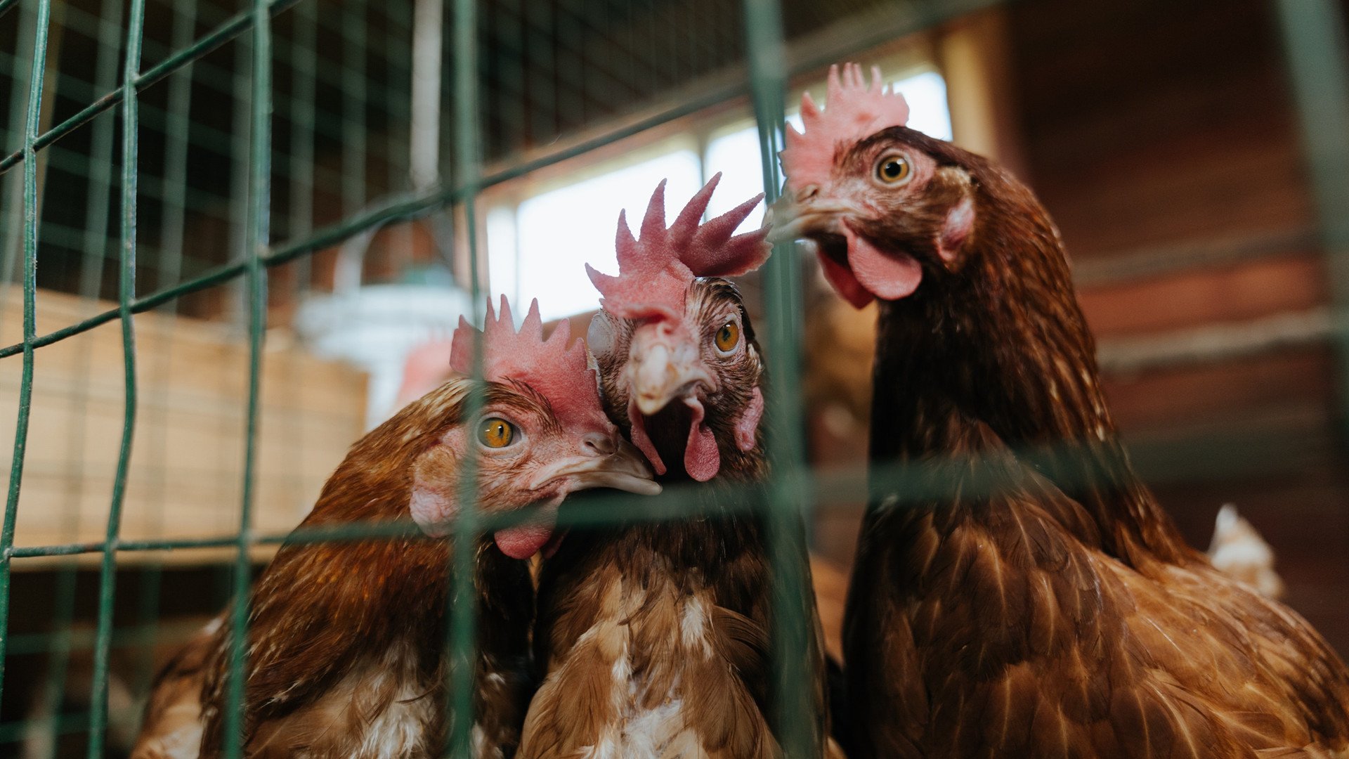乐鱼官网-NBA名宿访华推动青少年篮球发展，青少年nba篮球训练营