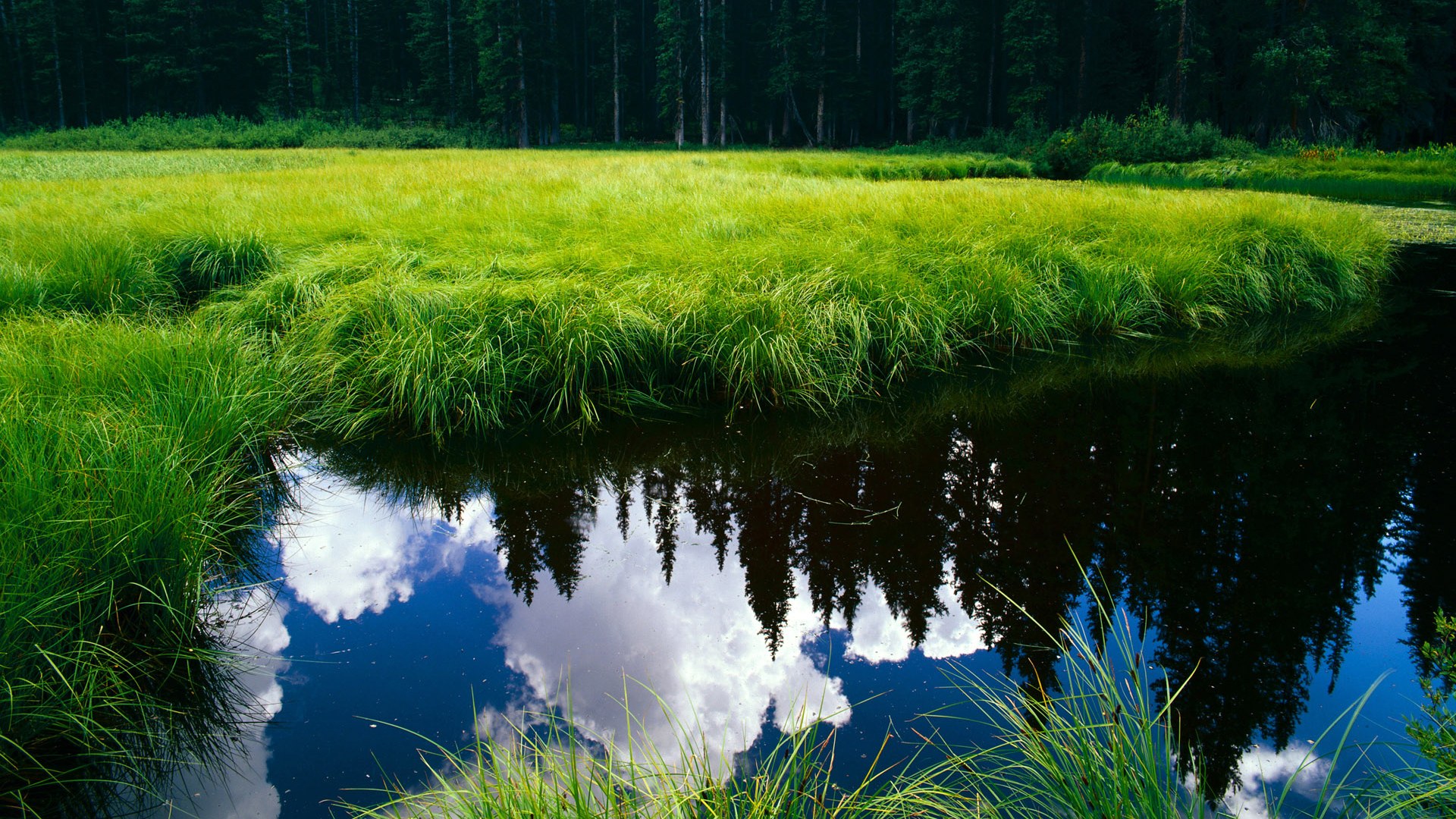 乐鱼体育在线官网-乌干达女篮在国际赛场中实力不断提升，夺冠在望
