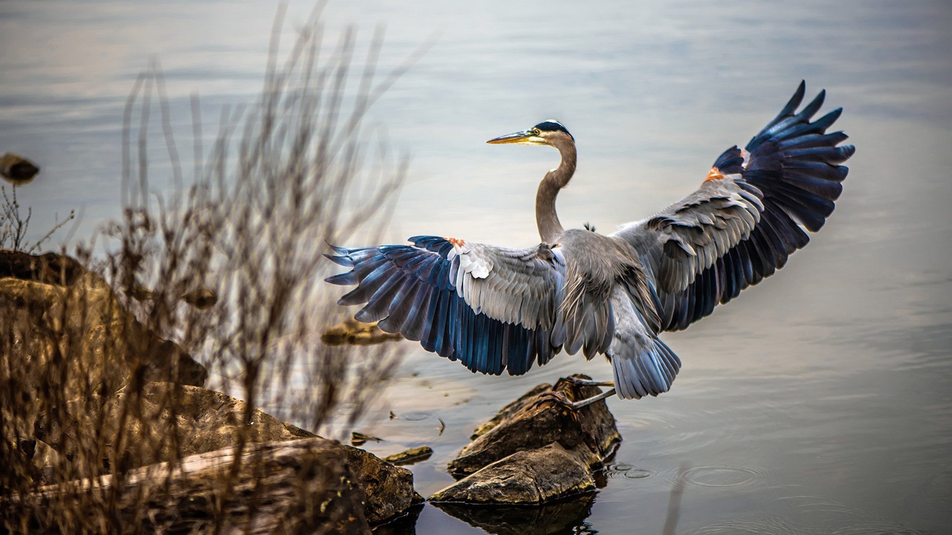 乐鱼体育直播在线-体育新闻中心上线运动员积分及排名查询入口,十大体育新闻评选