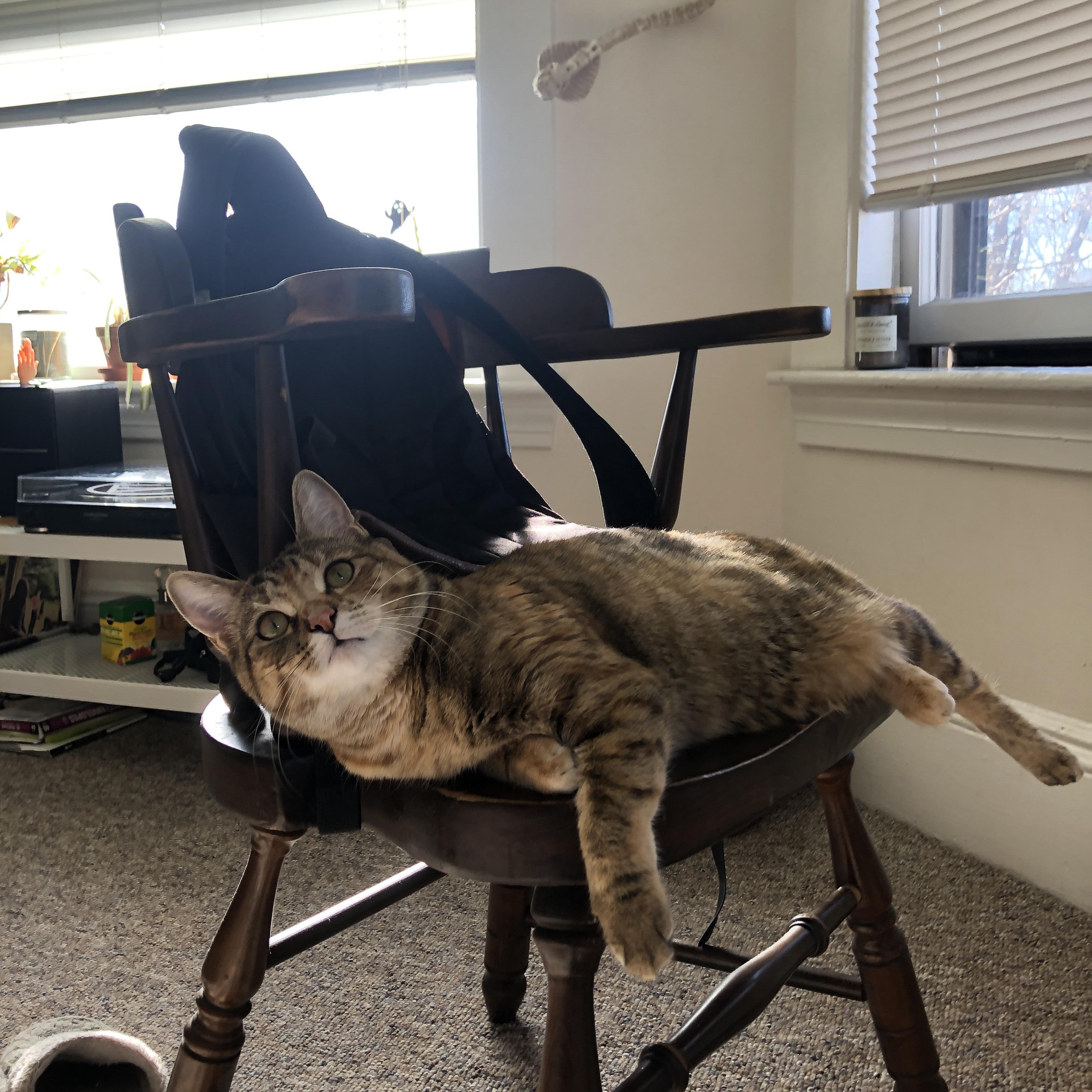 乐鱼体育官网网址-奥卡拉汉展现稳定的比赛心态,卡拉奥萨