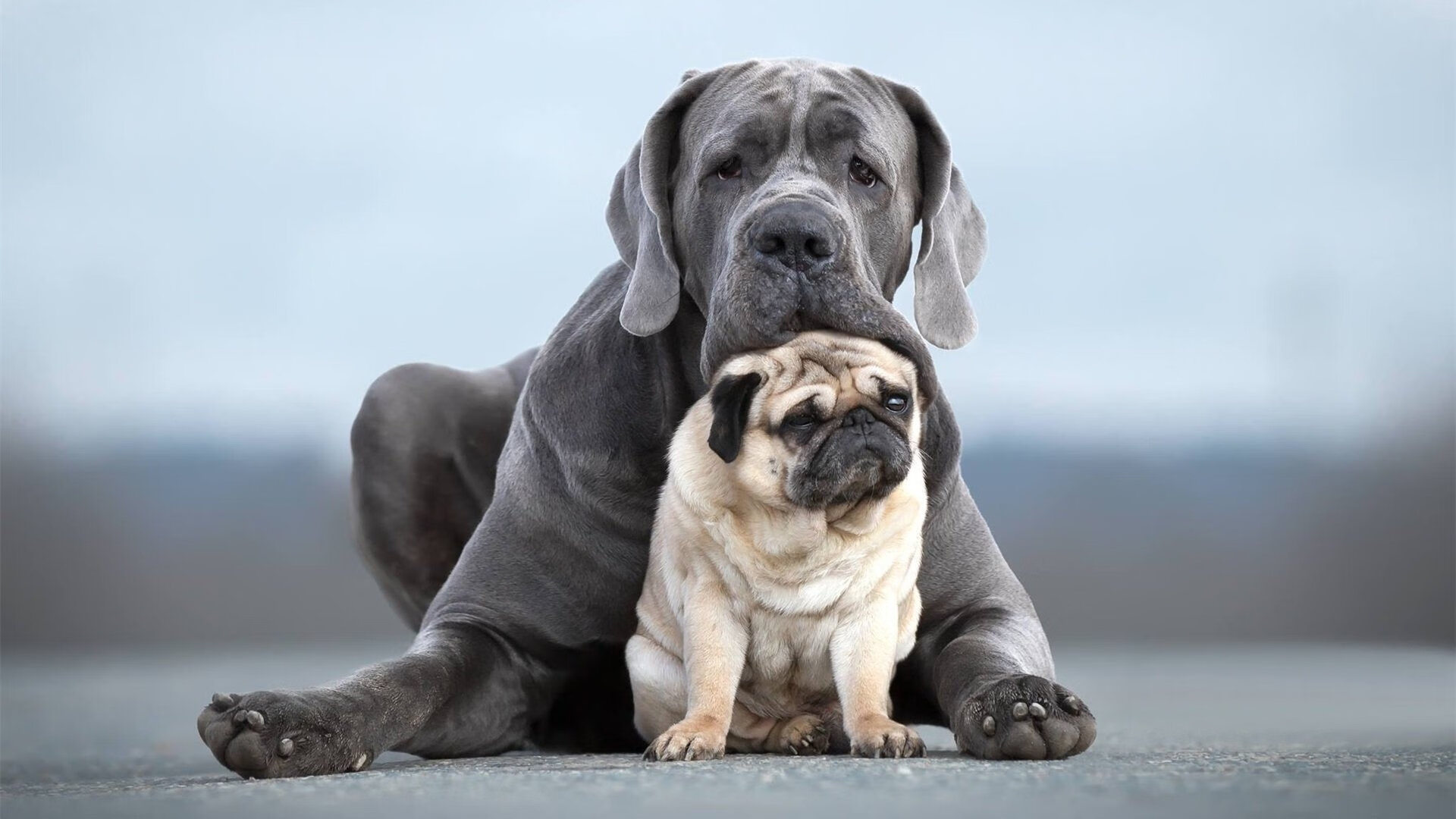 乐鱼体育官网下载-女子足球联赛赛程安排公布,女子足球锦标赛