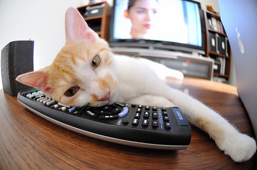 乐鱼体育-欧洲杯惊心动魄:最后一刻的绝佳决策,欧洲杯迎来结局